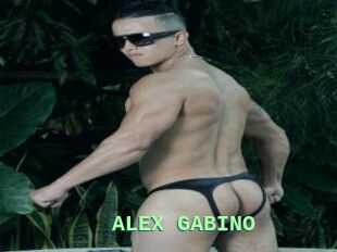 ALEX_GABINO