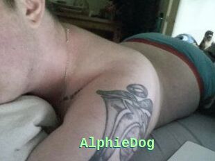 Alphie_Dog