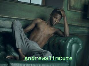 AndrewSlimCute