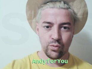 AndyforYou