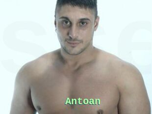 Antoan