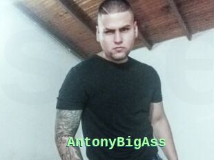 AntonyBigAss