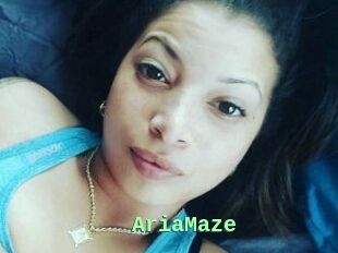 Aria_Maze