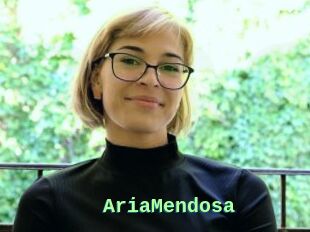 AriaMendosa