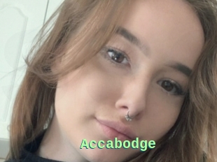 Accabodge