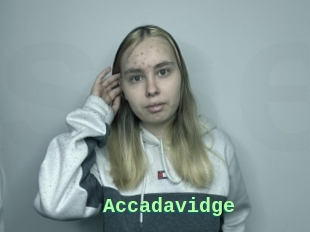 Accadavidge