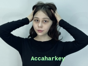 Accaharkey