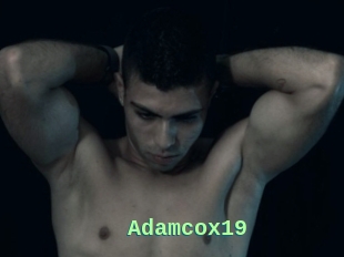 Adamcox19