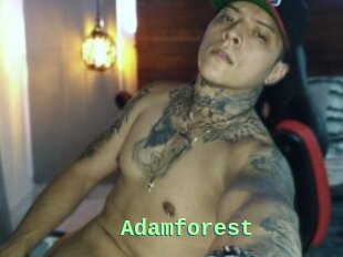 Adamforest