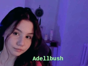 Adellbush