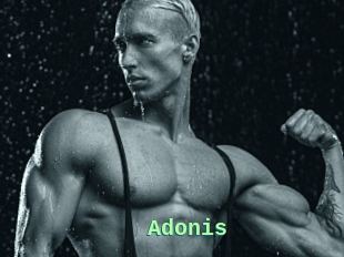 Adonis