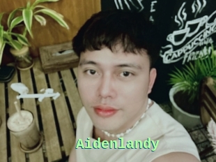 Aidenlandy