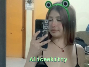 Aliceekitty