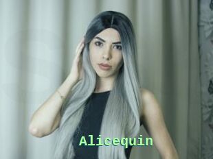 Alicequin