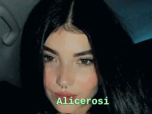 Alicerosi