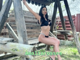 Amaliarosses