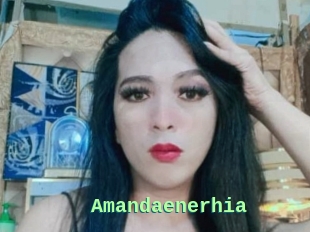 Amandaenerhia