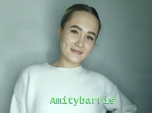 Amitybarris