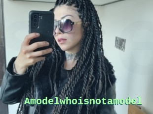 Amodelwhoisnotamodel