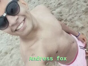 Andress_fox