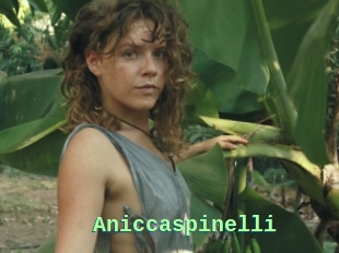 Aniccaspinelli