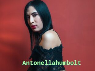 Antonellahumbolt