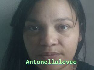 Antonellalovee