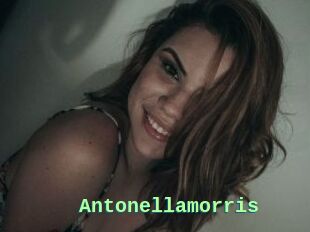 Antonellamorris