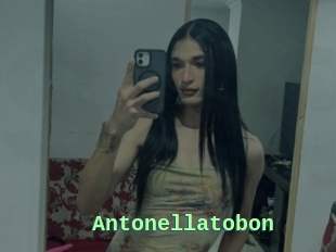 Antonellatobon