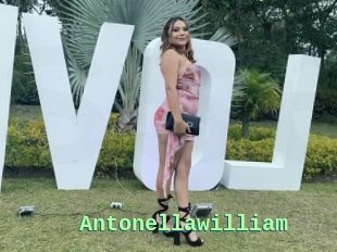 Antonellawilliam