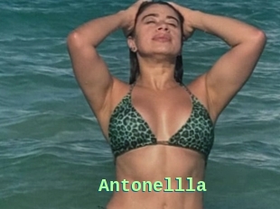 Antonellla