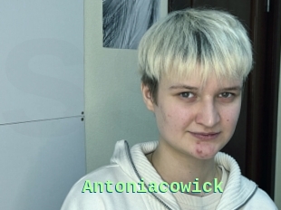 Antoniacowick