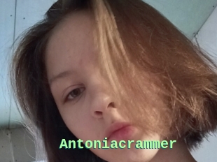 Antoniacrammer