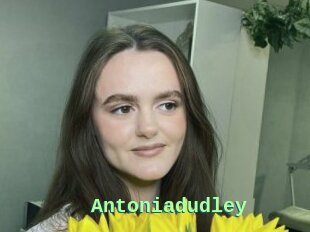 Antoniadudley