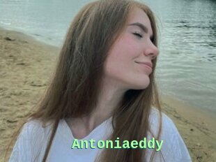 Antoniaeddy