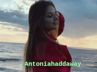 Antoniahaddaway