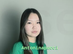 Antoninapucci