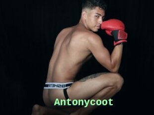 Antonycoot