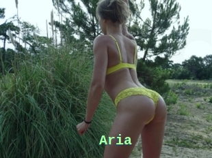 Aria