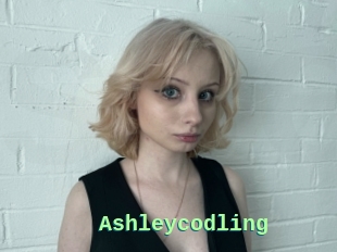 Ashleycodling