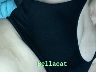 Bella_cat