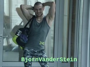 BjornVanderStein