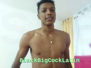 BlackBigCockLatin