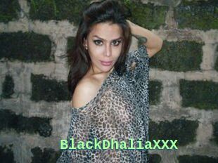 BlackDhaliaXXX