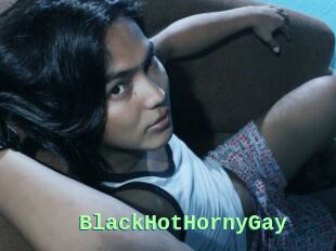 BlackHotHornyGay