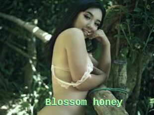 Blossom_honey