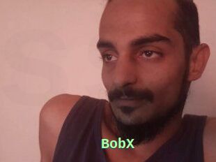 BobX