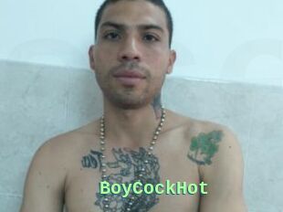 BoyCockHot