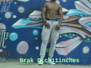 Brak_Dick11inches