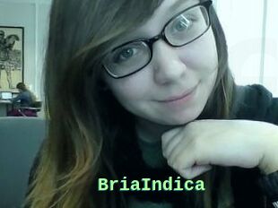 BriaIndica